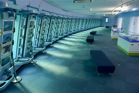 宮古島海中公園 写真提供：OCVB